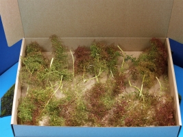 Diorama Zubehör, Seemoos, Meerschaum für Diorama Bäume u. Geländebau