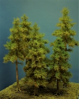 Diorama Modell Nadelbäume, 7 Fichten, ca. 40-35-32-26-18-18-14 cm