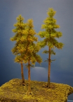 Diorama Modell Nadelbäume, 3 Hochstamm Fichten, ca. 40 - 35 - 26 cm