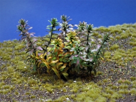 Diorama Zubehör, 1 Pflanzen Set 10, ca. 6 cm hoch