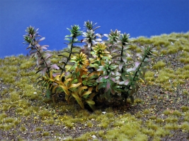 Diorama Zubehör, 1 Pflanzen Set 10, ca. 9 cm hoch