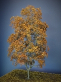 Diorama Zubehör Modell Bäume, 1 Buche mit Herbstlaub, ca. 35 cm,