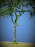Diorama Zubehör Modell Bäume, 1 Buche mit Sommerlaub, ca. 25 cm,