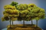 Diorama Modell Bäume Typ 2, 5 Buchen mit Sommerlaub, ca. 25 - 29 cm