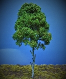 Diorama Modell Bäume Typ 2, 1 Buche mit Sommerlaub, ca. 30 cm