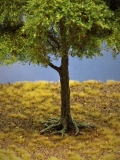 Diorama Modell Bäume Typ 2, 1 Buche mit Sommerlaub, ca. 18 - 20 cm