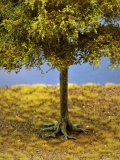 Diorama Modell Bäume Typ 2, 1 Buche mit Sommerlaub, ca. 20 - 25 cm