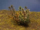 Diorama Zubehör, 1 Pflanzen Set 10, ca. 9 cm hoch