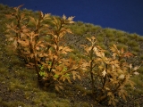 Diorama Zubehör, 1 Pflanzen Set 15, ca. 5 cm hoch