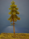 Diorama Modell Nadelbäume, 1 Hochstamm Fichte, ca. 35 cm