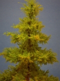 Diorama Modell Nadelbäume, 1 Hochstamm Fichte, ca. 40 cm