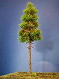 Diorama Modell Nadelbäume, 1 Hochstamm Fichte, ca. 45 cm