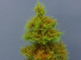 Diorama Modell Nadelbäume, 1 Fichte, ca. 27 cm