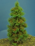 Diorama Modell Nadelbäume, 1 Fichte, ca. 35 cm