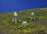 Diorama Modell Bäume, 1 Baumstumpen Set mit Wurzelfuß