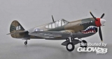 P-40 China 1945 in 1:48