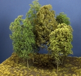 Baumgruppe aus 5 Laubbäumen, 25 - 29 cm